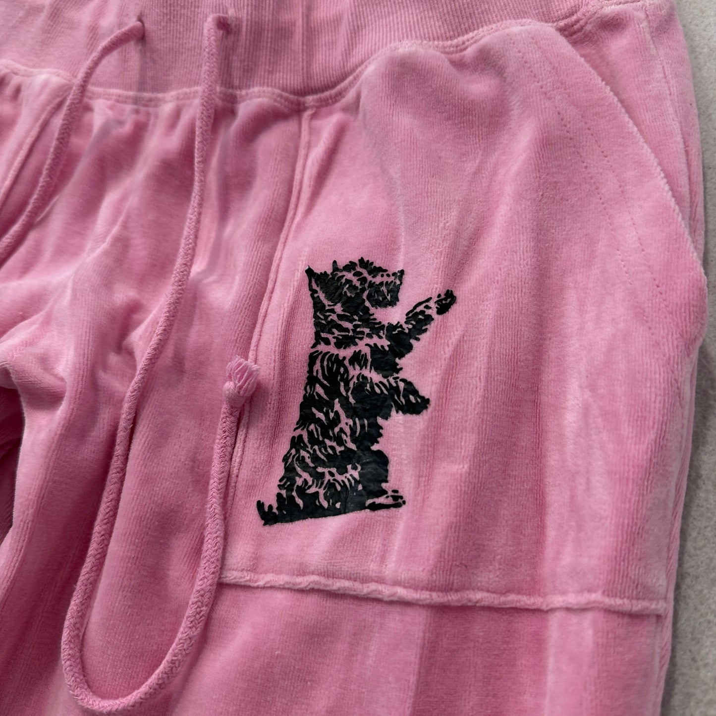 Juicy Couture Women's Light Pink Velour Track Pants Drawstring Dog Logo Size M