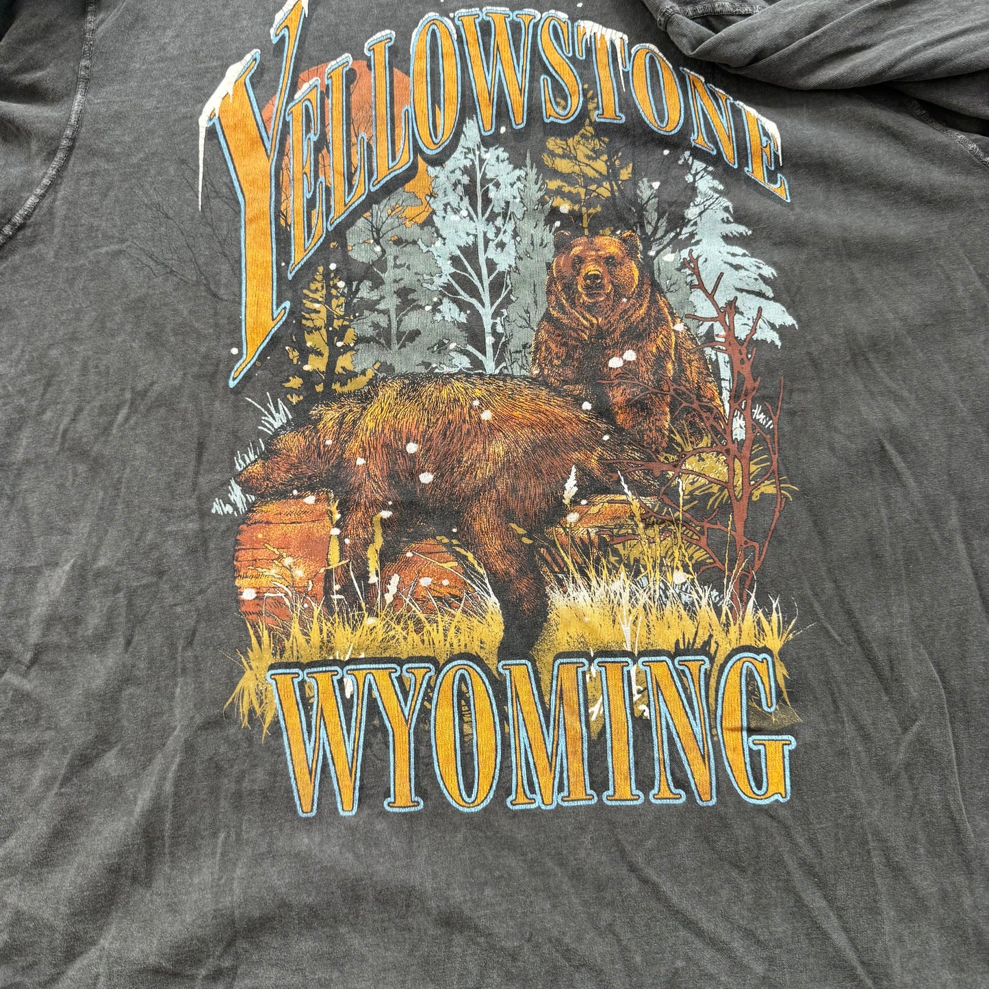 Abercrombie & Fitch Men's Gray Cotton T-Shirt Long Sleeves Graphic Tee Size XL