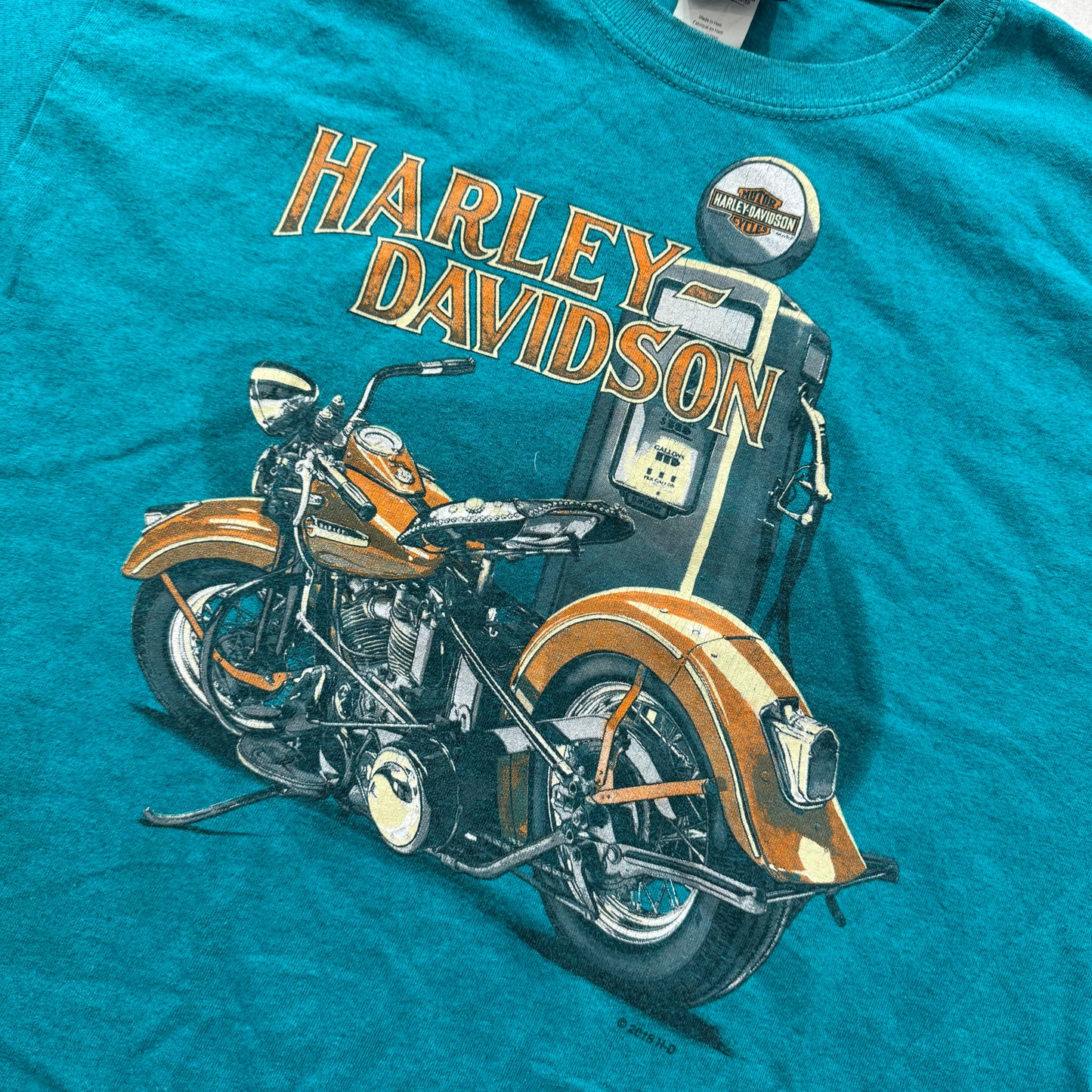 Harley-Davidson Hillbilly Gatlinburg TN Graphic T-Shirt Teal Size M