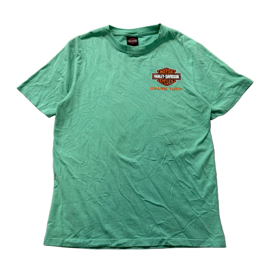Harley-Davidson Paradise T-Shirt Men's Mint Green Graphic Motorcycle Tee Size M photo 1