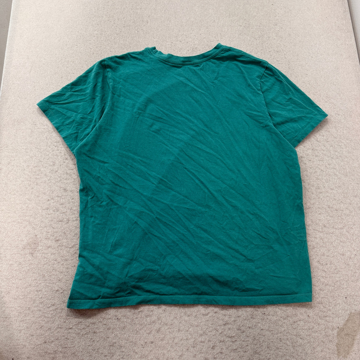 The North Face teal Half Dome tee back view