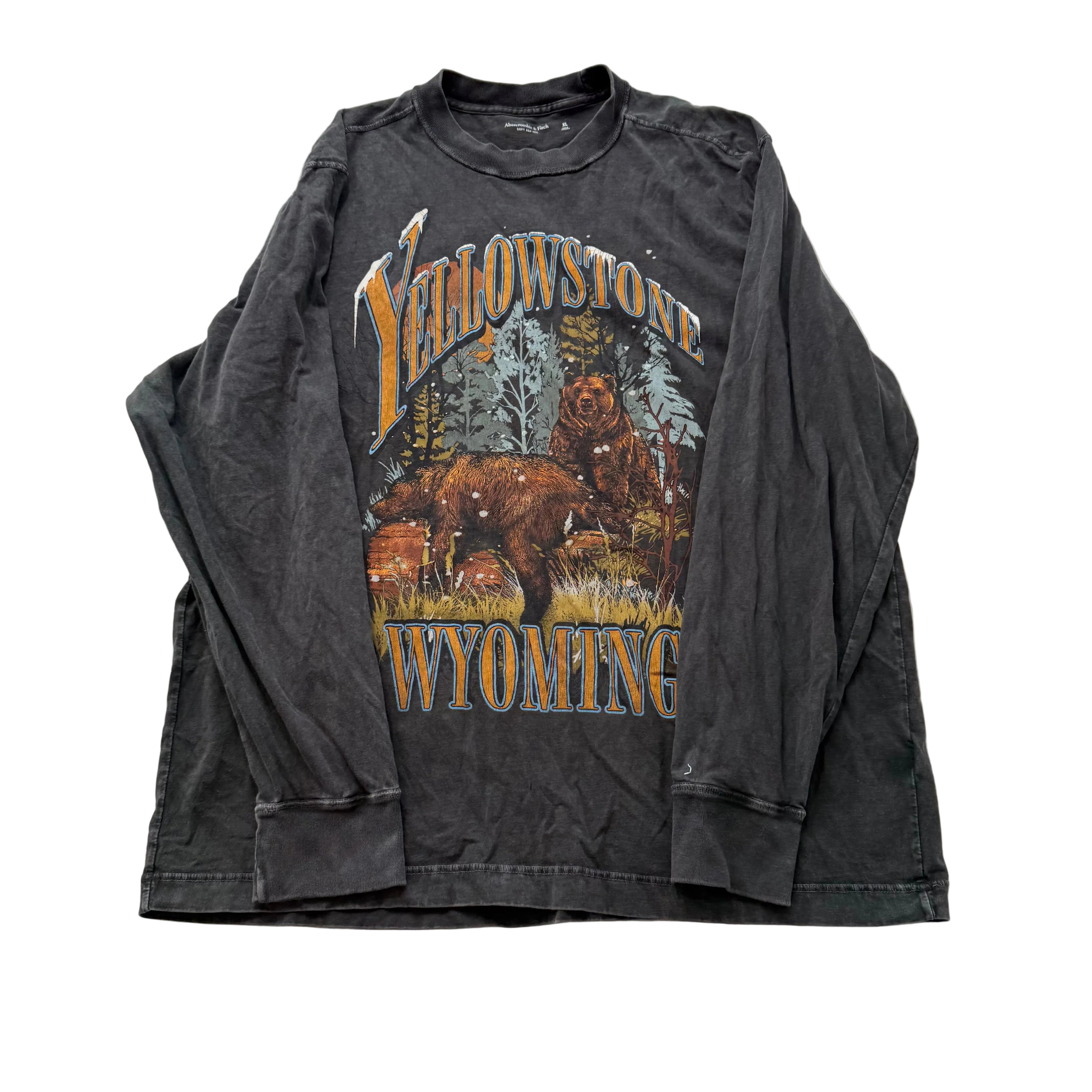 Abercrombie & Fitch Men's Gray Cotton T-Shirt Long Sleeves Graphic Tee Size XL