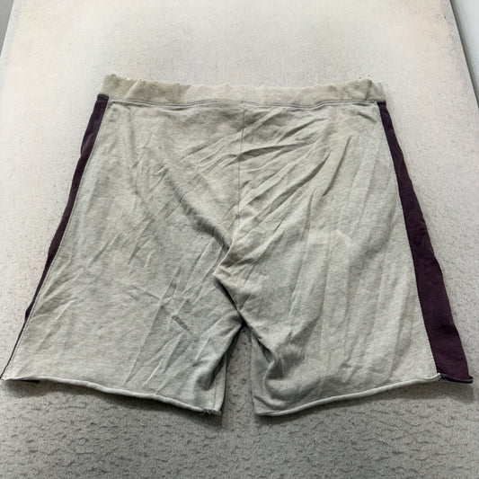 Vintage American Eagle Sweat Shorts Men's Heather Gray Side Stripe Size L photo 2