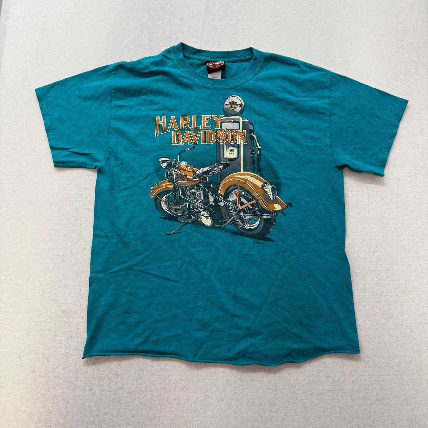 Harley-Davidson Hillbilly Gatlinburg TN Graphic T-Shirt Teal Size M