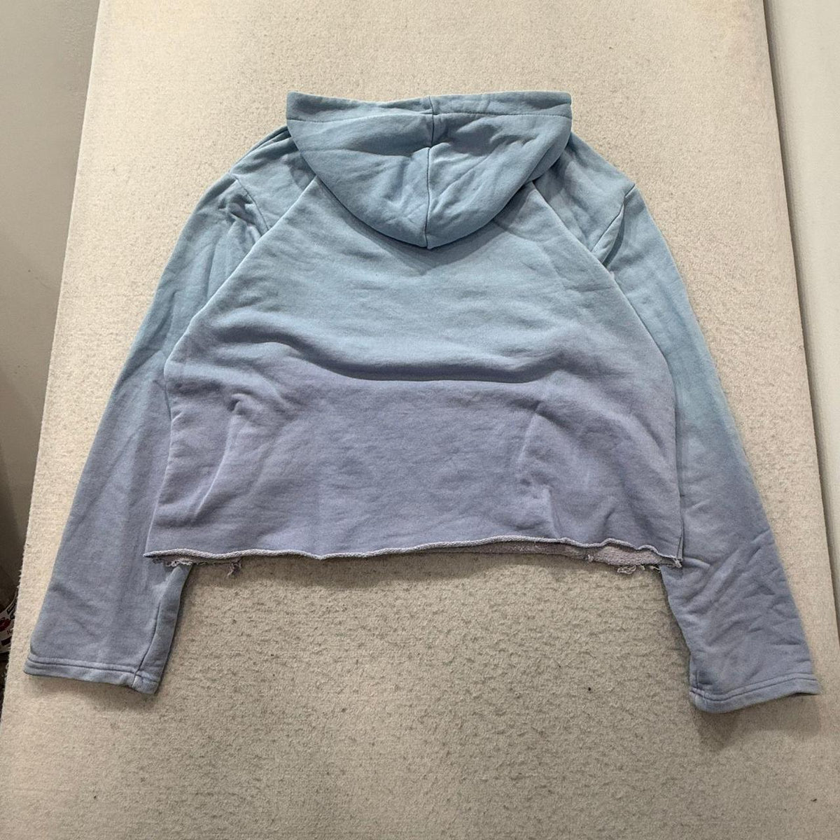 Vintage Y2K 2000's Women's Oversized Graphic Cropped Light Blue Hoodie