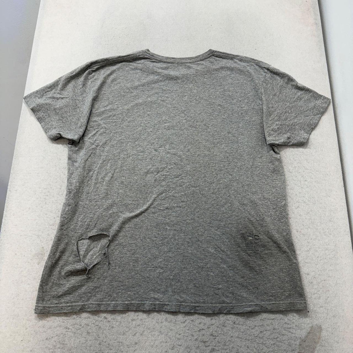 Vintage Y2K 2000's Heather Grey Faded Gecko Graphic Tee