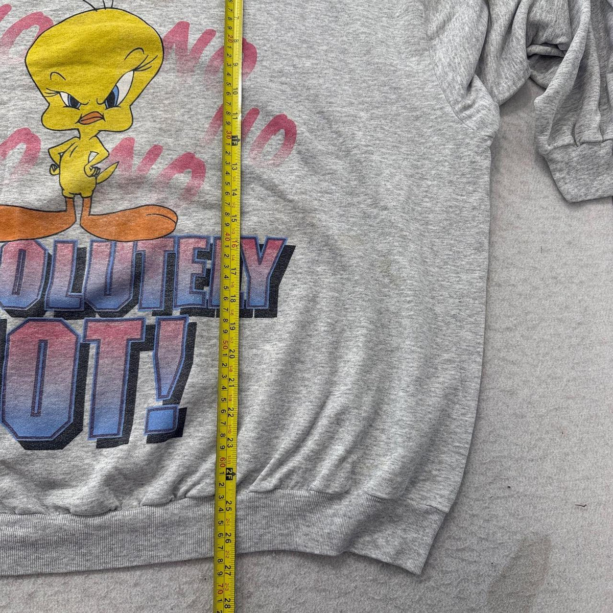 Vintage 90s Warner Bros Heather Grey Faded Oversized Tweety Graphic Sweatshirt